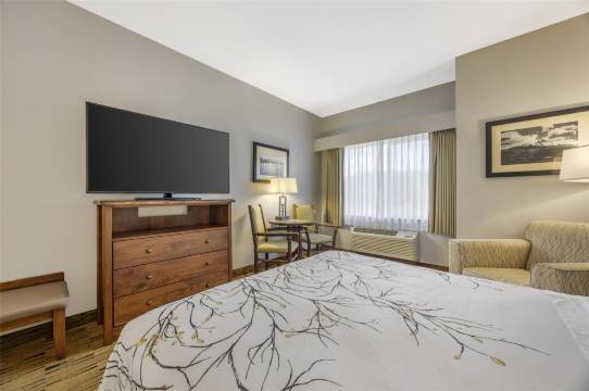 哥伦比亚河贝斯特韦斯特优质酒店(Best Western Plus Columbia River Inn)