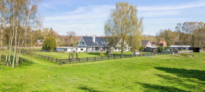 达奇斯-dk(Dutchies-dk)图片