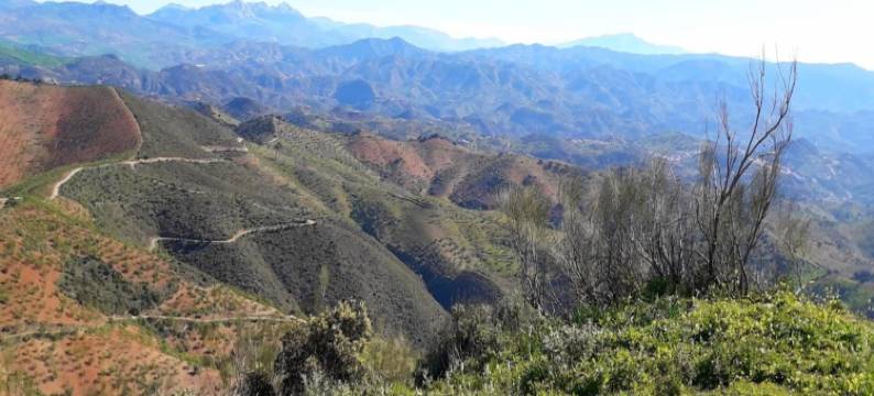 Private Pool Retreat Almogía图片