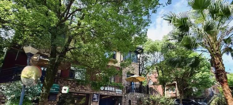 森林拾光·度假别墅酒店(东江湖景区店)图片
