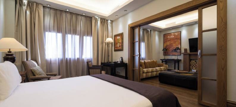 安达卢斯·欧星酒店宫殿(Eurostars Al-Ándalus Palace)图片