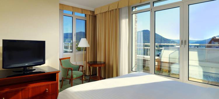 海德堡万豪酒店(Heidelberg Marriott Hotel)图片