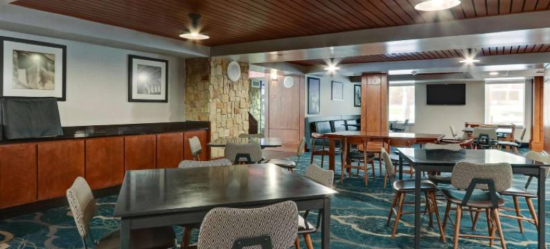 圣安东尼奥机场德鲁里套房酒店(Wyndham Garden San Antonio Airport Northeast)图片