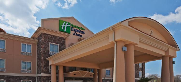 智选假日套房酒店杰克森维尔(Holiday Inn Express & Suites Jacksonville)图片
