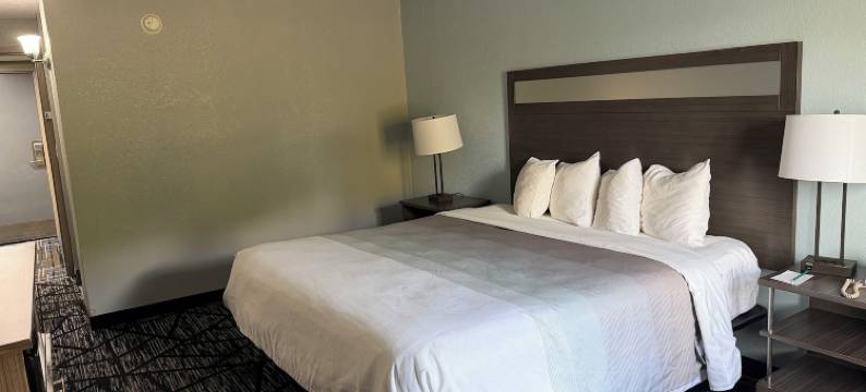 冷水溪凯艺套房饭店 - 靠近 69 号州际公路(Quality Inn & Suites Coldwater Near I-69)图片