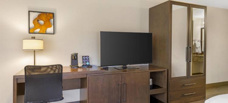 麦考尔贝斯特韦斯特优质套房酒店(Best Western Plus McCall Lodge  Suites)图片