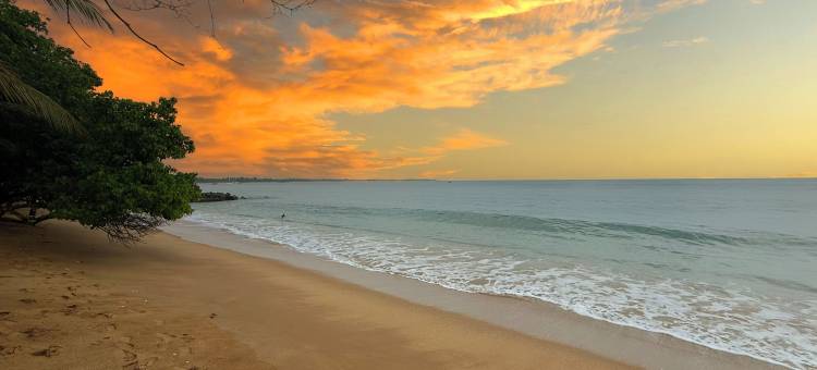 OLA唐加勒(OLA Tangalle)图片