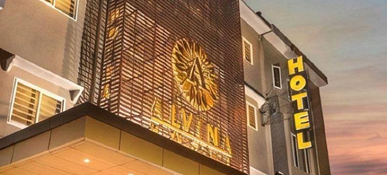 阿尔维娜酒店(Alvina Hotel)图片