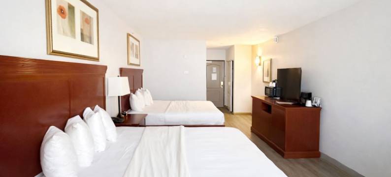 塞夫纳酒店及套房(Seffner Inn and Suites)图片