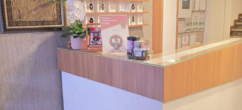 奥图格酒店(Hotel Altuğ)图片