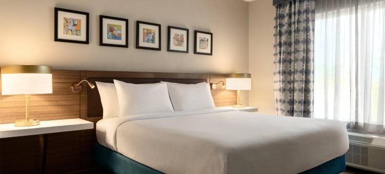 迈尔斯堡机场FGCU希尔顿花园酒店(Hilton Garden Inn Fort Myers Airport/FGCU)图片