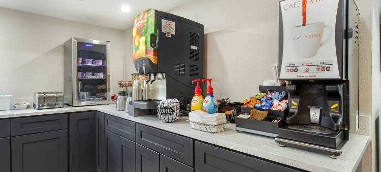 梅恩斯泰套房坦帕莫菲特-南佛罗里达大学(MainStay Suites Tampa Moffitt-USF)图片