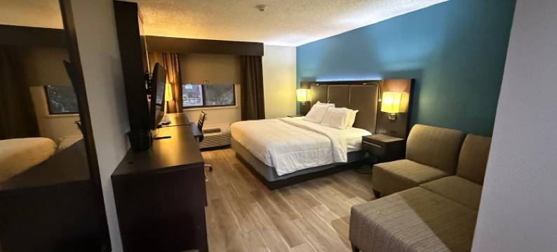 品质酒店及套房底特律大都会机场(Quality Inn & Suites Detroit Metro Airport)图片