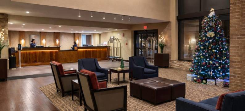 舒适酒店(Comfort Inn)图片