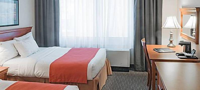 蒙特利尔中心维莱科洛姆酒店(Hotel Chrome Montreal Centre-Ville)图片
