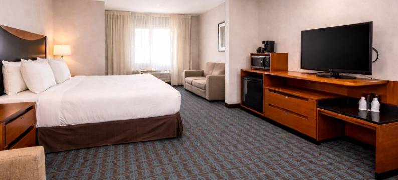 舒适酒店及套房德克萨斯城 I-45(Comfort Inn & Suites Texas City I-45)图片