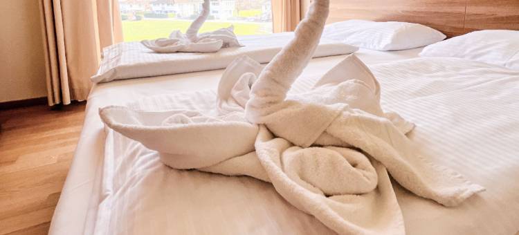 多伯恩公平汽车旅馆(Fairmotel Dornbirn)图片