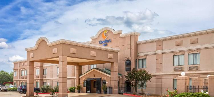 舒适酒店(Comfort Inn North Conroe)图片