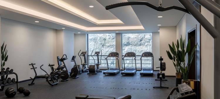 麦加 Thakher 市诺富特酒店(Novotel Makkah Thakher City)图片