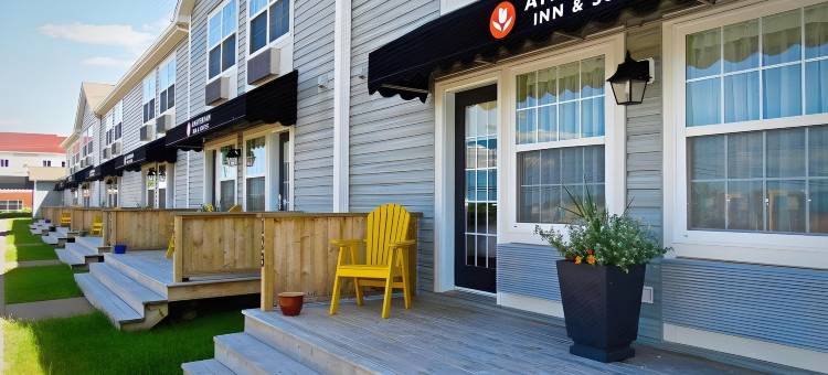 阿姆斯特丹蒙克顿套房酒店(Amsterdam Inn & Suites Moncton)图片