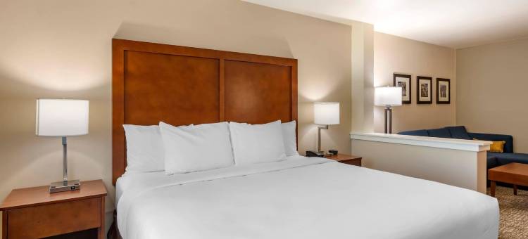 舒适酒店及套房(Comfort Inn & Suites)图片