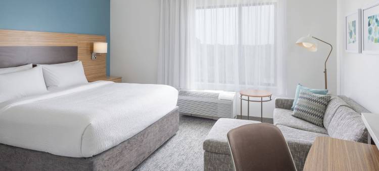 莱瑟姆奥尔巴尼机场TownePlace套房酒店(TownePlace Suites Latham Albany Airport)图片