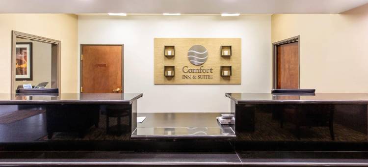 IAH布什机场-东舒适套房酒店(Comfort Inn & Suites IAH Bush Airport - East)图片