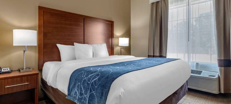 派瑞斯舒适酒店(Comfort Inn & Suites Paris)图片