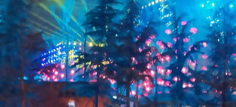 洛阳迦南旅馆图片