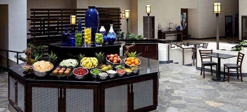 洛杉矶国际机场北安泊套房酒店(Embassy Suites by Hilton Los Angeles International Airport North)图片