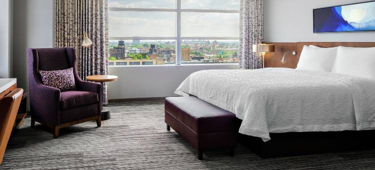 芝加哥麦考密克广场希尔顿花园酒店(Hilton Garden Inn Chicago McCormick Place)图片