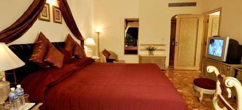 阿吉特大厦酒店(Golden Palms Hotel and Spa Bangalore)图片