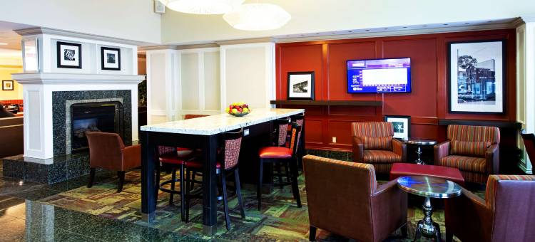 渥太华希尔顿欢朋酒店(Hampton Inn by Hilton Ottawa)图片