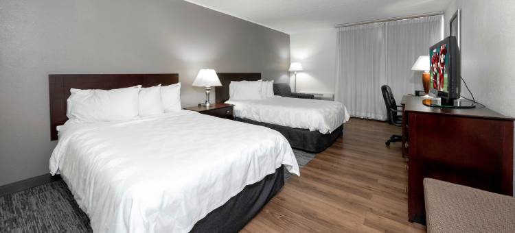 红屋顶PLUS+纽瓦克自由机场 - 卡特雷特(Red Roof Plus+ Newark Liberty Airport - Carteret)图片