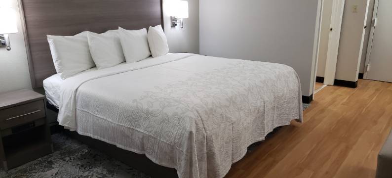 莫斯波因特红顶酒店(Red Roof Inn Moss Point)图片