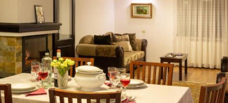 Pensiunea Tara Fagilor图片