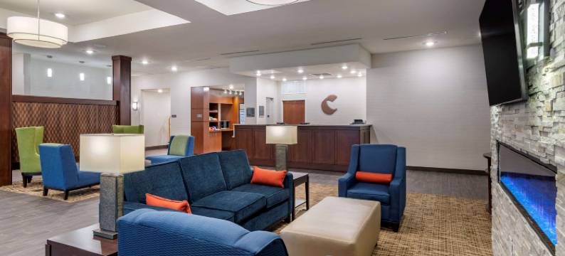 舒适套房酒店(Comfort Suites)图片