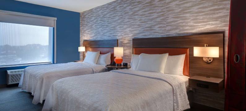 希尔顿特洛伊Home2套房(Home2 Suites by Hilton Detroit Troy)图片