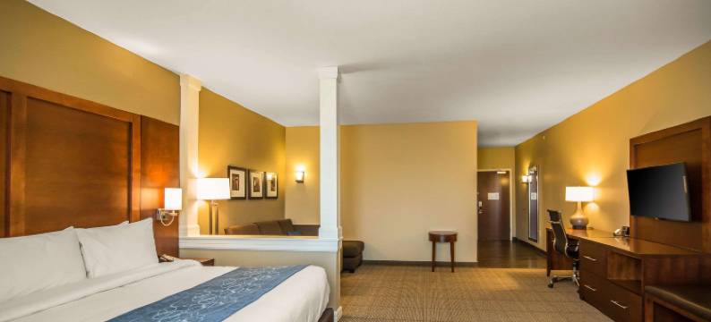 舒适套房酒店(Comfort Suites - Dodge City)图片