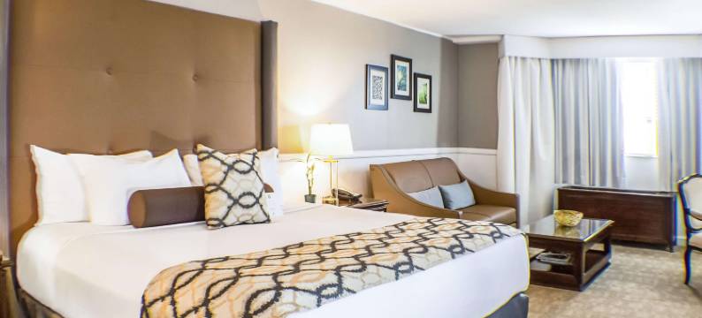 加登城酒店(Garden City Hotel)图片