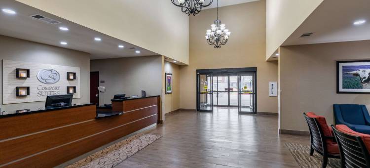 舒适套房酒店(Comfort Suites)图片