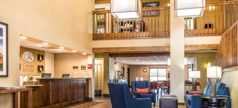 埃芬汉舒适套房酒店(Comfort Suites Effingham)图片