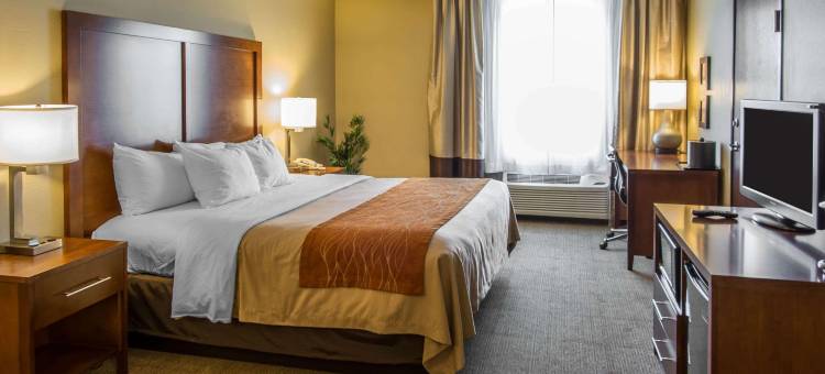 舒适套房酒店(Comfort Inn & Suites)图片