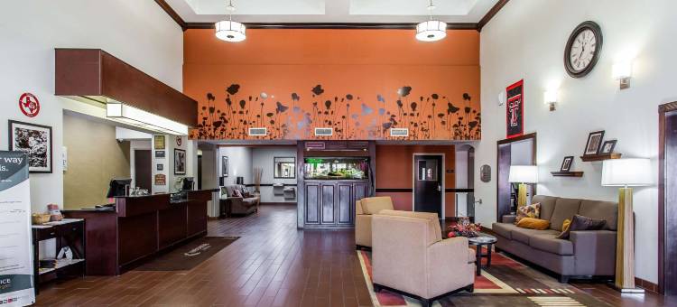 拉伯克舒眠套房酒店(Sleep Inn & Suites)图片