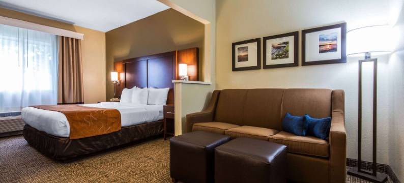 舒适套房酒店罗切斯特亨利埃塔大学区(Comfort Suites Rochester Henrietta University Area)图片