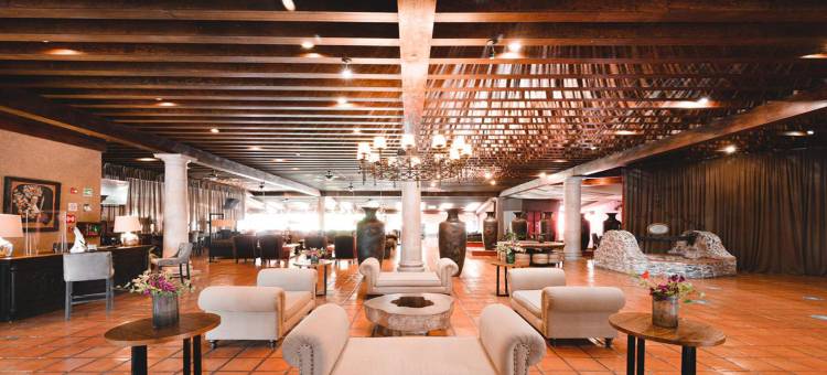 米纳斯皇家圣米格尔阿连德酒店(Real de Minas San Miguel de Allende)图片