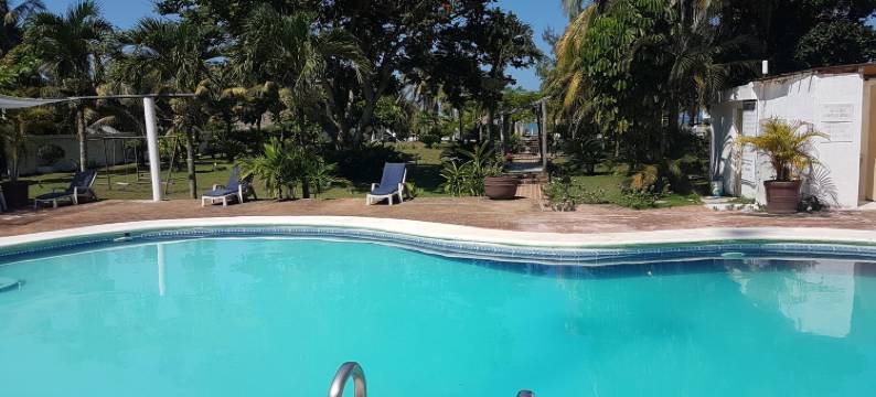 埃尔多拉酒店(Hotel El Doral)图片