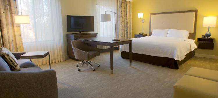 爱达荷中心南帕套房欢朋酒店(Hampton Inn & Suites Boise/Nampa at the Idaho Center)图片
