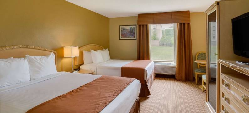 夏洛特-机场体育场呗盟套房酒店(Baymont by Wyndham Charlotte Airport / I-85 North)图片