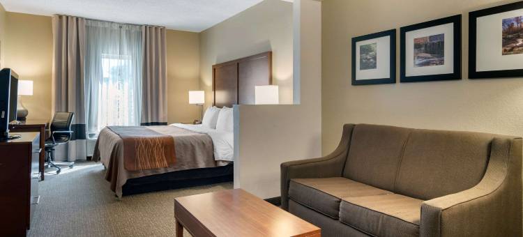 萨沃尼舒适套房酒店-秀格尔洛弗(Comfort Inn & Suites Suwanee - Sugarloaf)图片